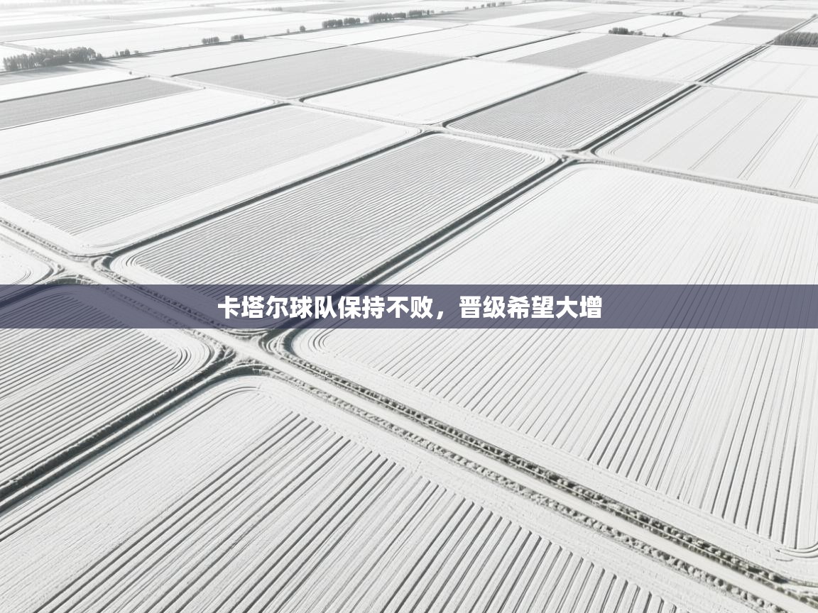 卡塔尔球队保持不败，晋级希望大增