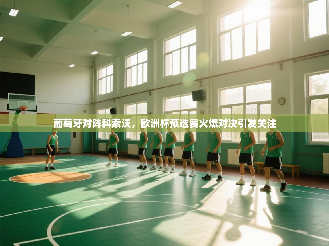 葡萄牙对阵科索沃,欧洲杯预选赛火爆对决引发关注