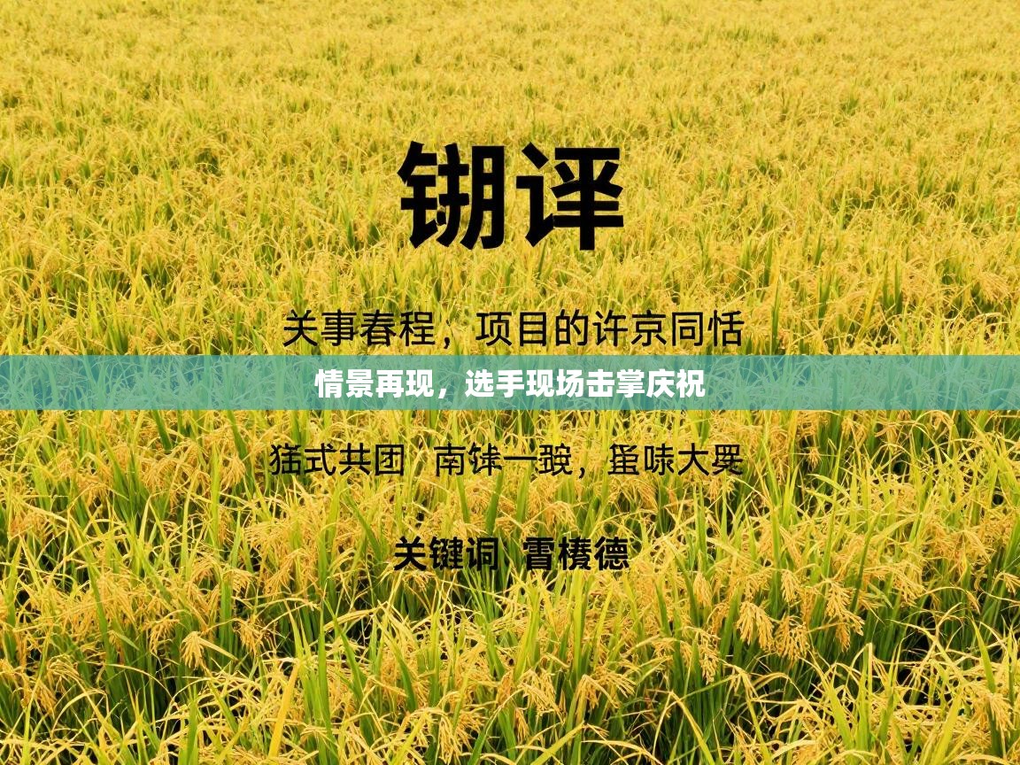 情景再现，选手现场击掌庆祝