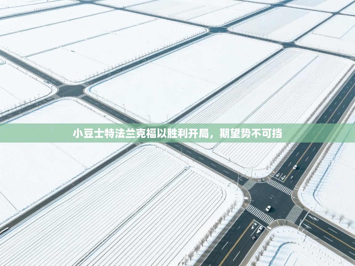 小豆士特法兰克福以胜利开局，期望势不可挡  第2张