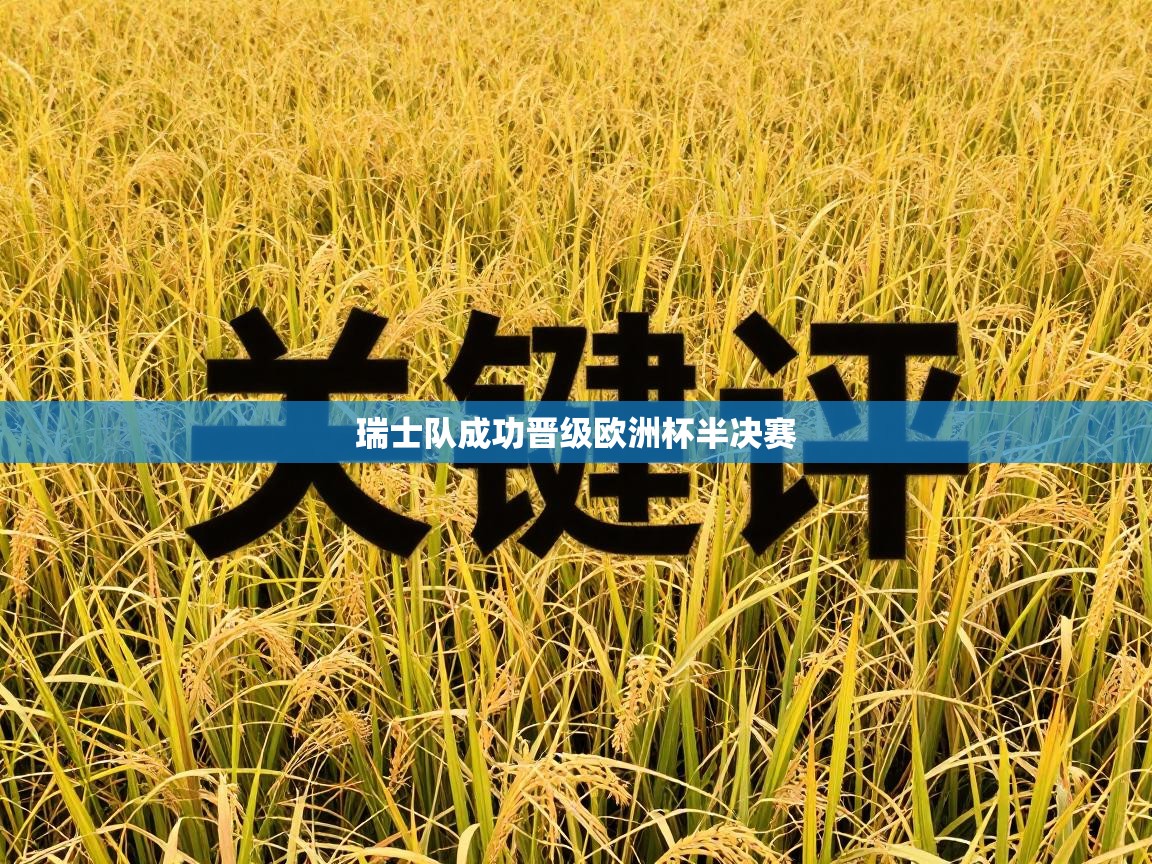 瑞士队成功晋级欧洲杯半决赛